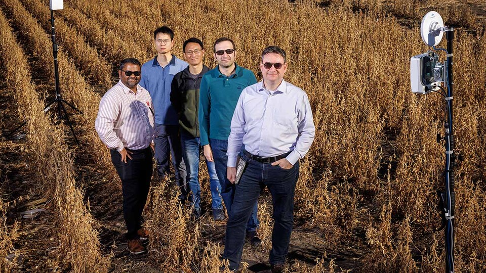 Members of the Field-Nets research team pose in a soybean field on East Campus with their millimeter wave radios with phased-array antennas. The researchers (from left) are Santosh Pitla, Qiang Liu, Yufeng Ge, Christos Argyropoulos and Mehmet Can Vuran.