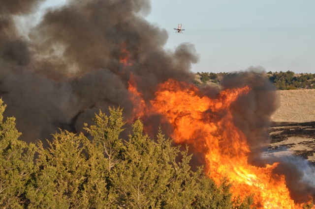 Unmanned Aerial System for Firefighting