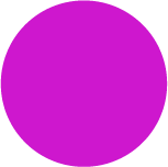 Fuchsia Dot