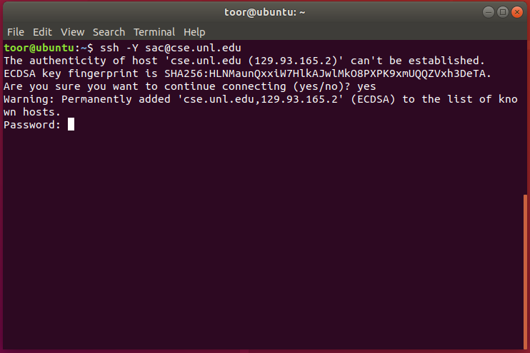 Ubuntu Terminal 3