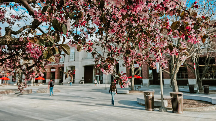 Campus