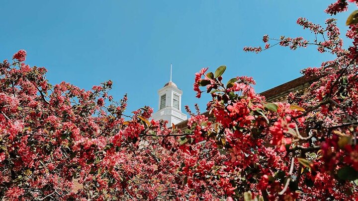 Campus blooms