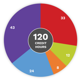 Data Science major credit hour pie chart