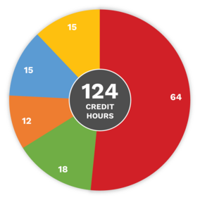 Software Engineering Pie Chart