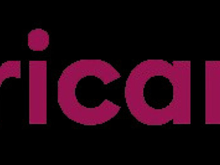 American Life Logo